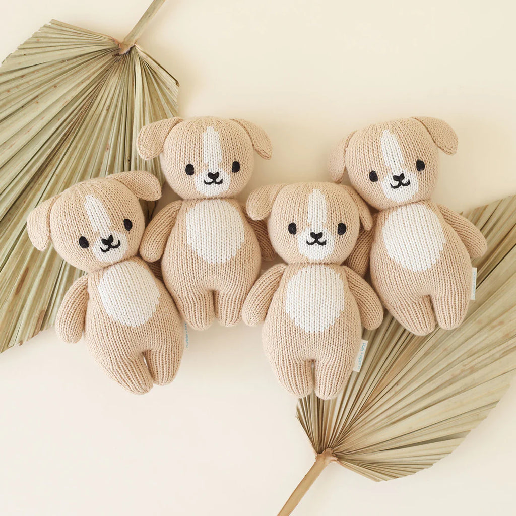 Five Cuddle + Kind Baby Puppies arranged in a row on a pale background, with dried palm leaves positioned at the corners. Each bear has a friendly smile and black eyes.