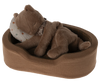 A Maileg Plush Kitten, Nougat (ships in approximately one week) lies in a brown, plush pet bed with its head resting on a white pillow adorned with colorful polka dots. The adorable toy cat appears to be sleeping comfortably, creating a cozy and cute scene that would make a perfect addition to any pet collection.