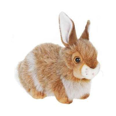 bunny stuffed animal