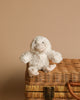 A small, fluffy white plush toy resembling Mini Bill the Duck Rattle is sitting on top of a closed woven wicker basket with a clasp. The background is a neutral beige color, perfect for setting up an action-reaction learning environment.