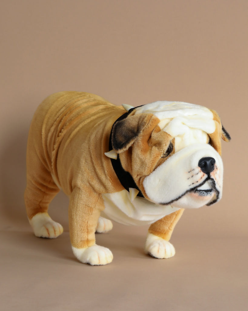 British Bulldog stuffed animal