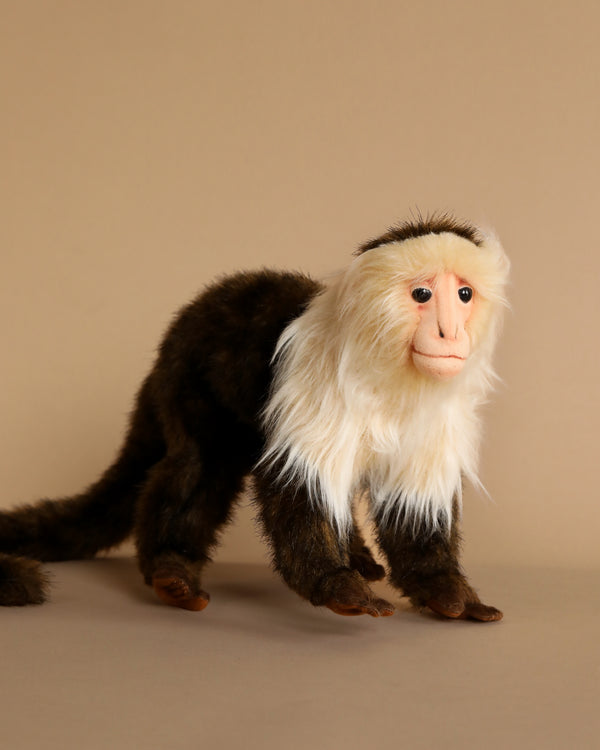 monkey stuffed animal