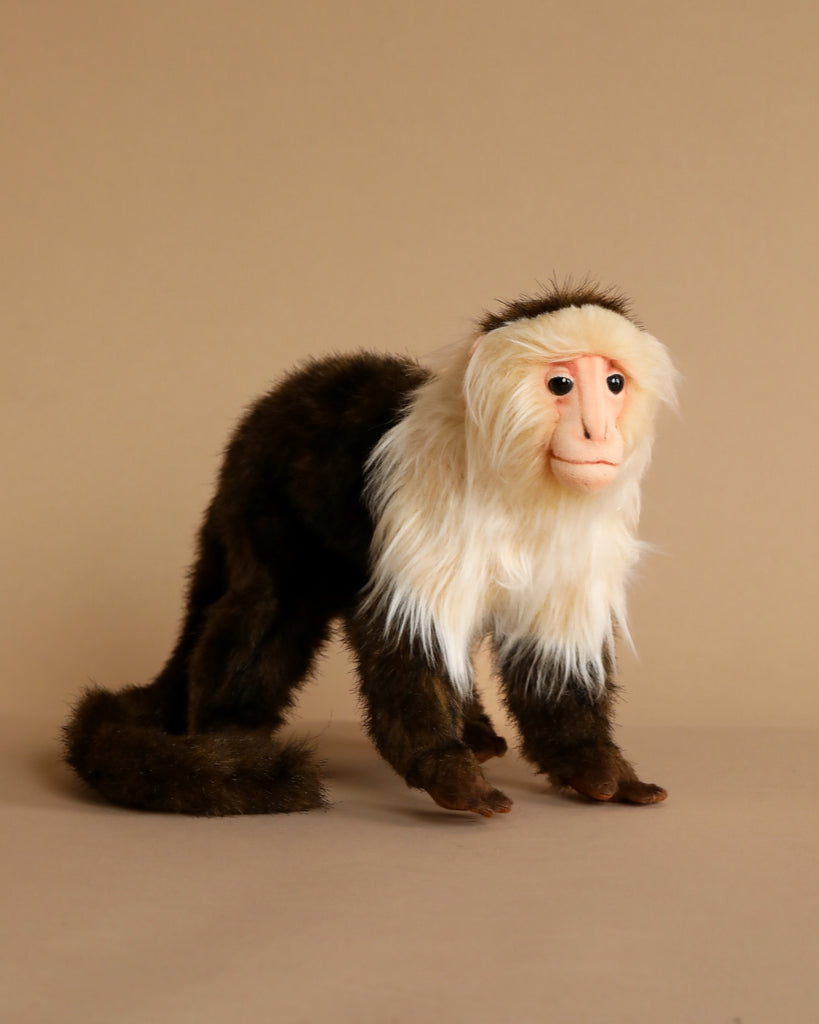 monkey stuffed animal