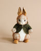 Bunny stuffed animal with green jacket