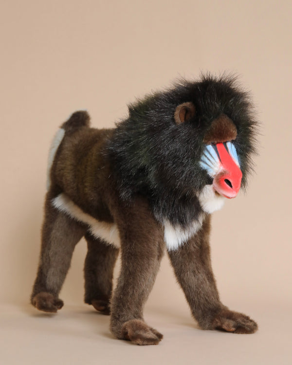 The Hansa Mandrill Monkey Stuffed Animal is a lifelike plush toy with realistic fur and vibrant facial markings. Hand sewn with meticulous detail, it features a mane-like fringe around its face, a colorful blue and red snout, and a beige background, giving it a unique personality.