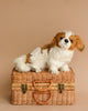 A realistic Shih Tzu Dog Stuffed Animal with white and brown fur is sitting atop a woven wicker suitcase with metal latches and two handles. This unique plush toy stands out against the plain, light brown background.