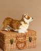 A Welsh Corgi Dog Stuffed Animal, with realistic features, is posed on top of a closed wicker picnic basket. The basket has two leather straps and brass latches. The background is a plain beige color.