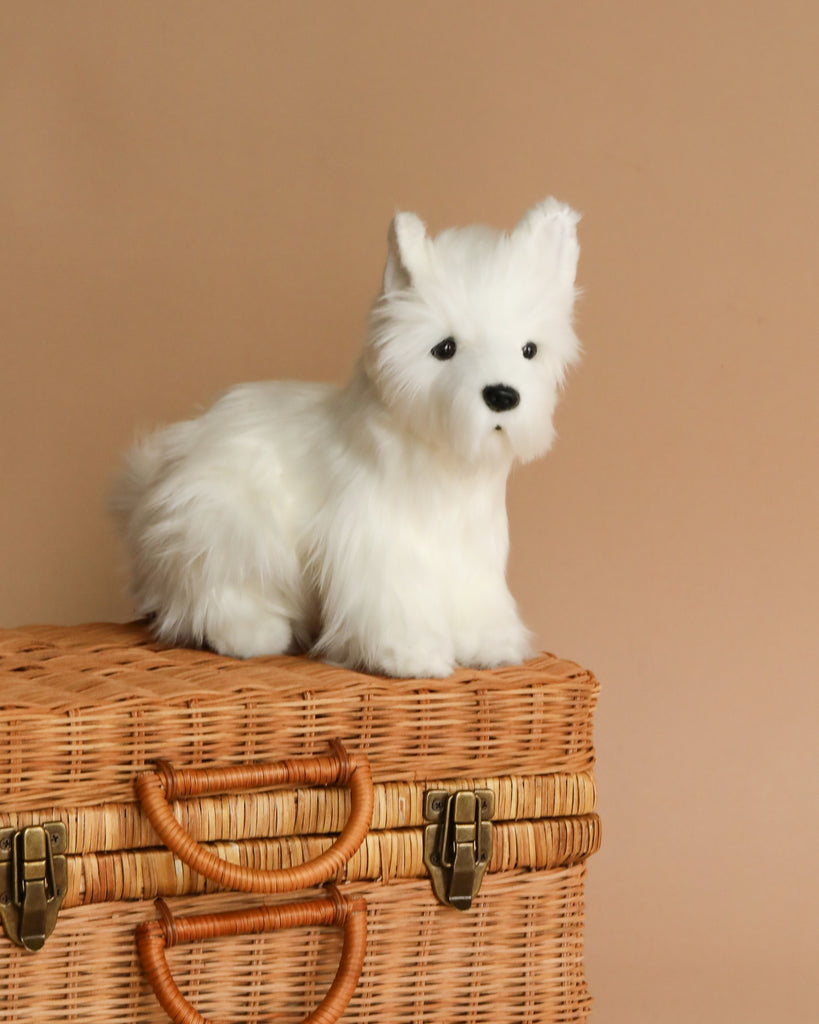 A small, white, fluffy dog with realistic features sits on top of a closed wicker basket against a beige background. The West Highland White Terrier Dog Stuffed Animal appears to be a stuffed toy with a cute, lifelike expression.