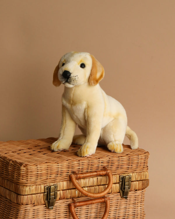 A realistic-looking Labrador Dog Stuffed Animal with beige and white fur sits on top of a woven rattan suitcase. Featuring lifelike, realistic features, this plush animal adds charm to the soft, neutral setting created by the plain beige wall. The Labrador Dog Stuffed Animal is in a sitting position, appearing endearing.