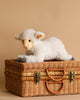 A Little Lamb Stuffed Animal with a white, fluffy coat and a beige face, crafted with realistic features, lies down on a closed wicker picnic basket with leather straps, set against a beige background.