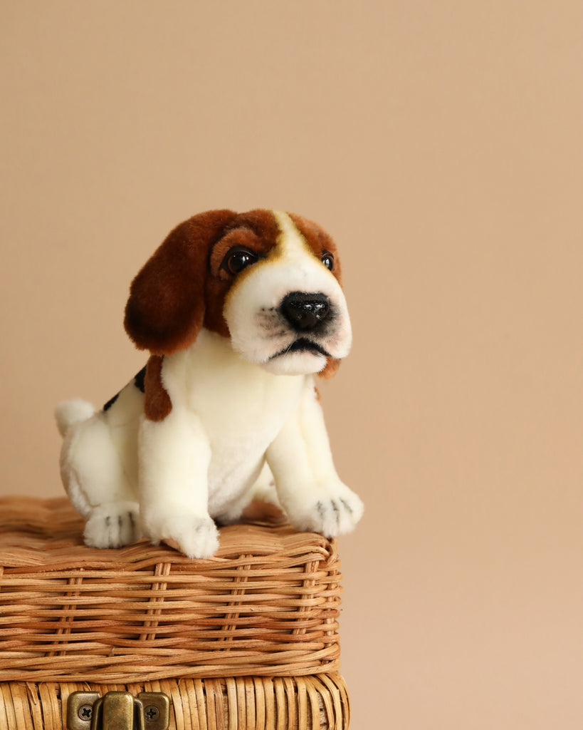 A Beagle Tea Cup Stuffed Animal with brown, black, and white fur sits atop a wicker basket against a beige background. The dog's hand-sewn features are impressively realistic, and its expression is neutral as it appears to be looking slightly upward.