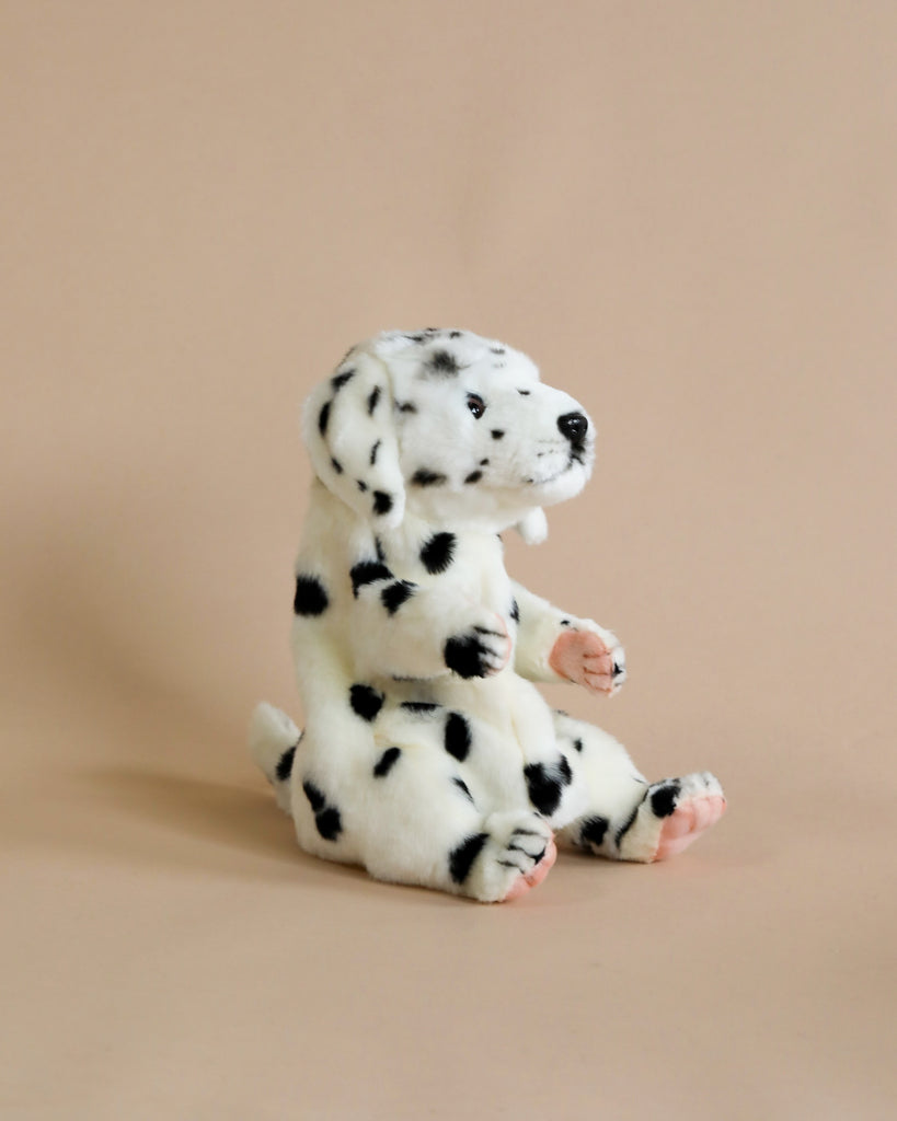 A Dalmatian Dog Puppet, crafted from high quality plush materials, sits on a beige background, featuring distinct black spots, prominent floppy ears, and realistic eyes.