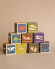 Explore the Uncle Goose Dinosaur Blocks, a handcrafted educational toy made in the USA. These vibrant wooden blocks showcase dinosaur silhouettes, their names, footprints, and size comparisons. Featuring illustrations of Brachiosaurus, Pterodactyl, Dilophosaurus, and Spinosaurus, each block offers a fun learning experience.