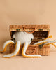 A BigStuffed Octopus - Pop with fluffy white tentacles edged in yellow rests inside an open, vintage-style wicker suitcase. The background is a warm beige color, complementing the suitcase and creating a soft, inviting scene reminiscent of an underwater world.