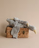 A Senger Naturwelt Cuddly Animal - Grey Goose plush toy resembling a goose, draped over a closed wicker picnic basket, set against a plain beige background.