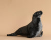 A Sea Lion Cub Stuffed Animal with a dark gray coat, posed in profile with its head tilted upwards, against a soft beige background.