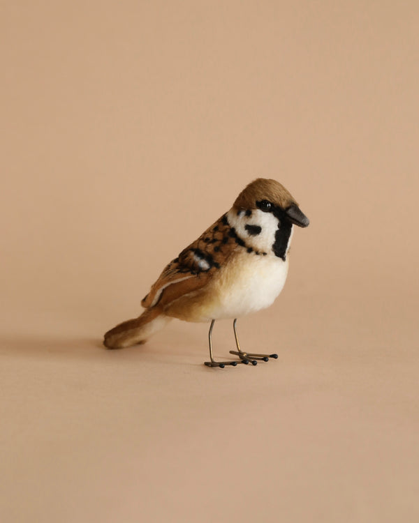 A Sparrow Bird Stuffed Animal with realistic features and brown, white, and black plumage stands on a plain beige background, displaying its profile with a sharp, black eye mask.