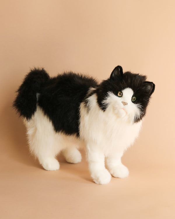 black and white cat stuffed animal