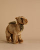 A Young Camel Stuffed Animal stands against a beige background. This hand sewn animal displays light brown fur, darker brown accents on its face, a small hump on its back, and tufted fur around its neck and tail. With realistic features and a friendly expression, it showcases a unique personality in profile view.