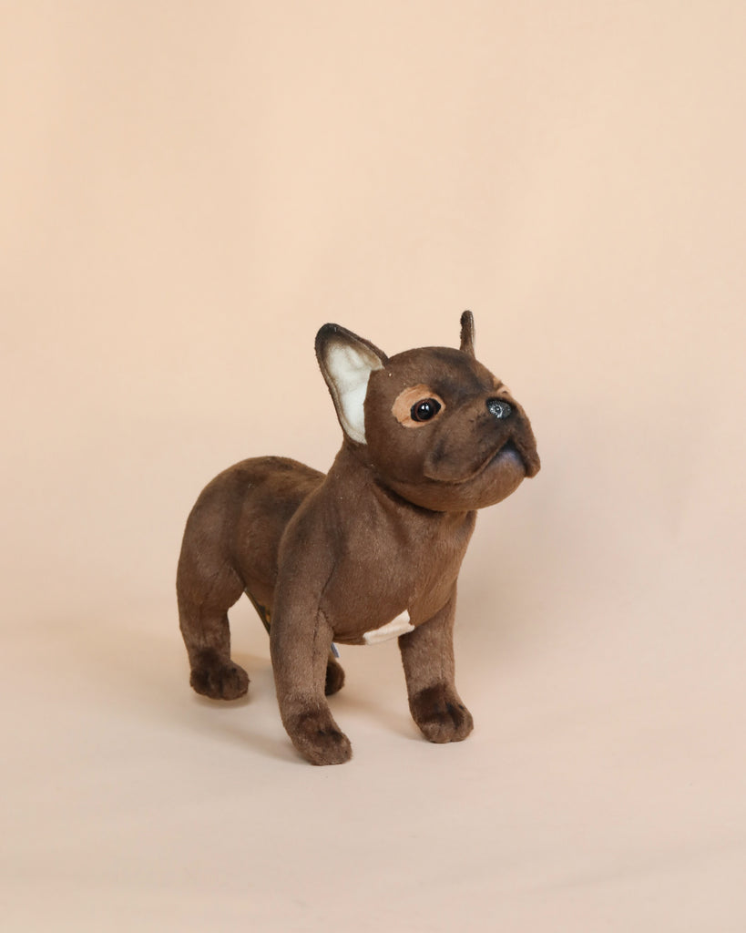 A realistic model of a French Bulldog Dog Stuffed Animal, hand sewn from high-quality materials, with upright ears and detailed facial features standing against a plain light beige background.