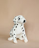 A Sitting Dalmatian Dog Stuffed Animal with black spots sits against a plain, light brown background. The toy has a realistic appearance, featuring prominent, alert eyes and a gentle pose. It is one of