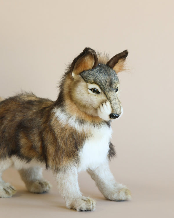 A lifelike Wolf Cub Stuffed Animal stands on a beige background. This plush toy wolf boasts realistic fur in natural shades of brown, gray, and white. With alert ears and focused eyes, it exudes an attentive and lively appearance. This unique handmade toy perfectly captures the charm of realistic plush animals.