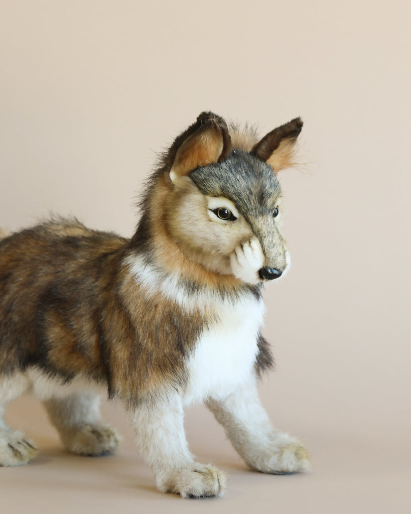 A lifelike Wolf Cub Stuffed Animal stands on a beige background. This plush toy wolf boasts realistic fur in natural shades of brown, gray, and white. With alert ears and focused eyes, it exudes an attentive and lively appearance. This unique handmade toy perfectly captures the charm of realistic plush animals.