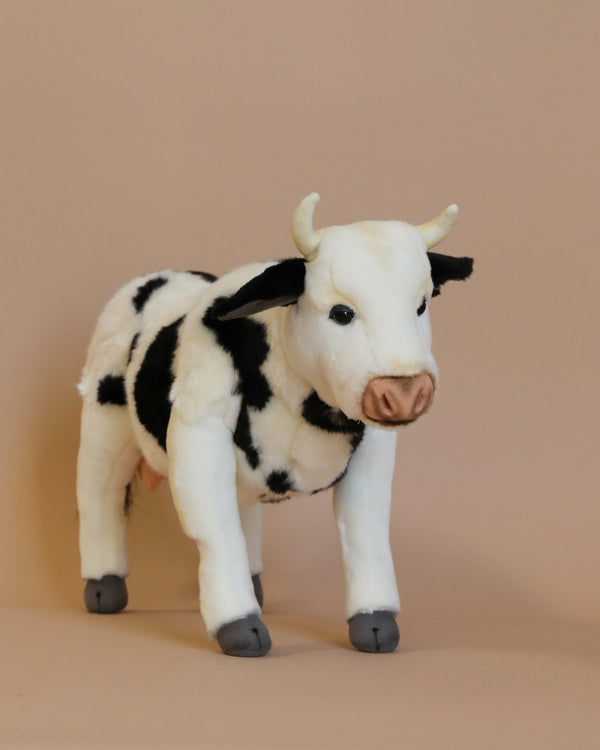 A Cow Stuffed Animal with a white body and black patches is standing on all four legs against a plain beige background. As part of the hand-sewn animals collection, this cow features small white horns, a light brown nose, black hooves, and boasts realistic yet cute details.