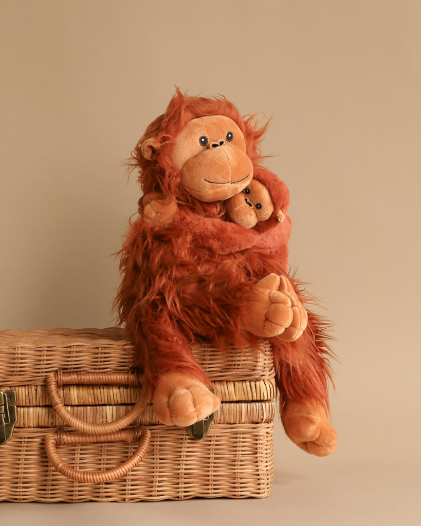 The Orangutans Stuffed Animal, depicting a mother-daughter bond with the larger plush orangutan hugging a smaller one, is placed atop a woven basket with a clasp. The jungle-themed toys feature a furry texture and smiling faces, set against a beige background.