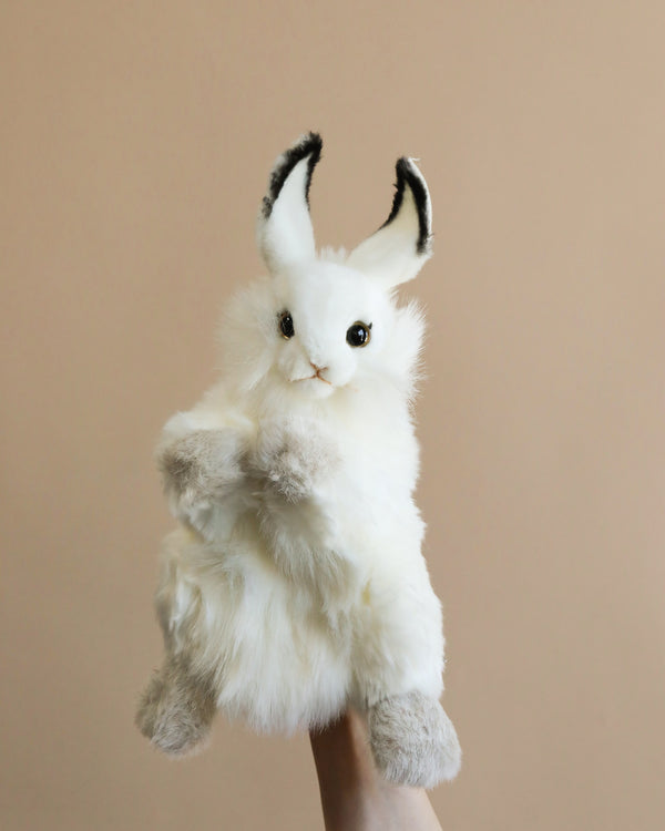 white bunny puppet stuffed animal