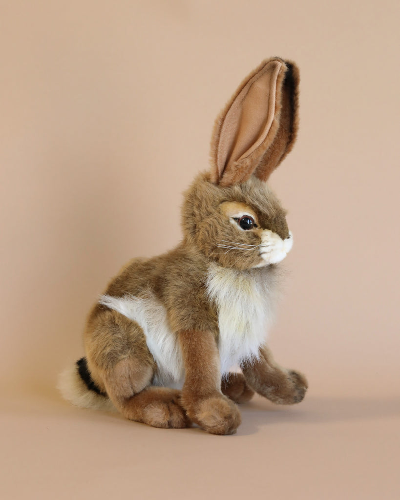 sitting jack rabbit stuffed animal