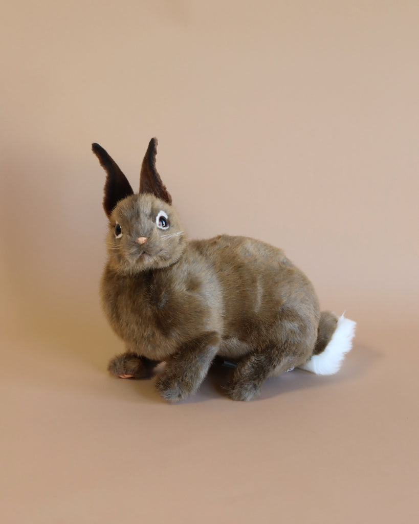 bunny stuffed animal