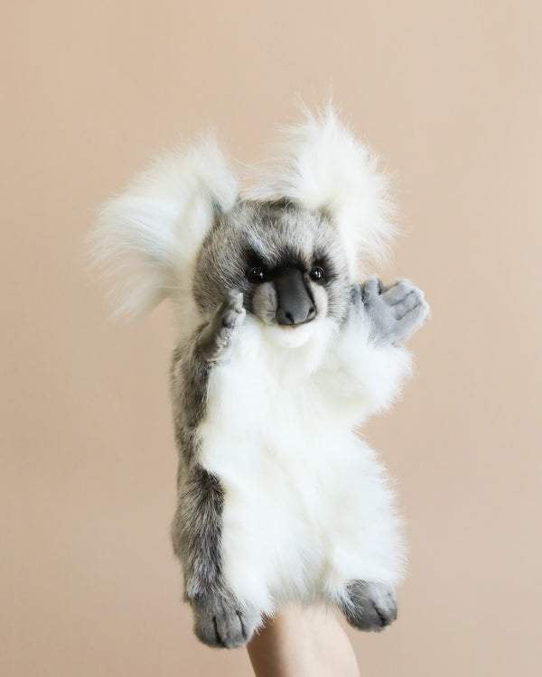 A hand is holding the Koala Puppet against a beige background. The fluffy, gray and white plush toy features large, fluffy ears, a dark nose, and small black eyes, giving it cute and realistic characteristics.