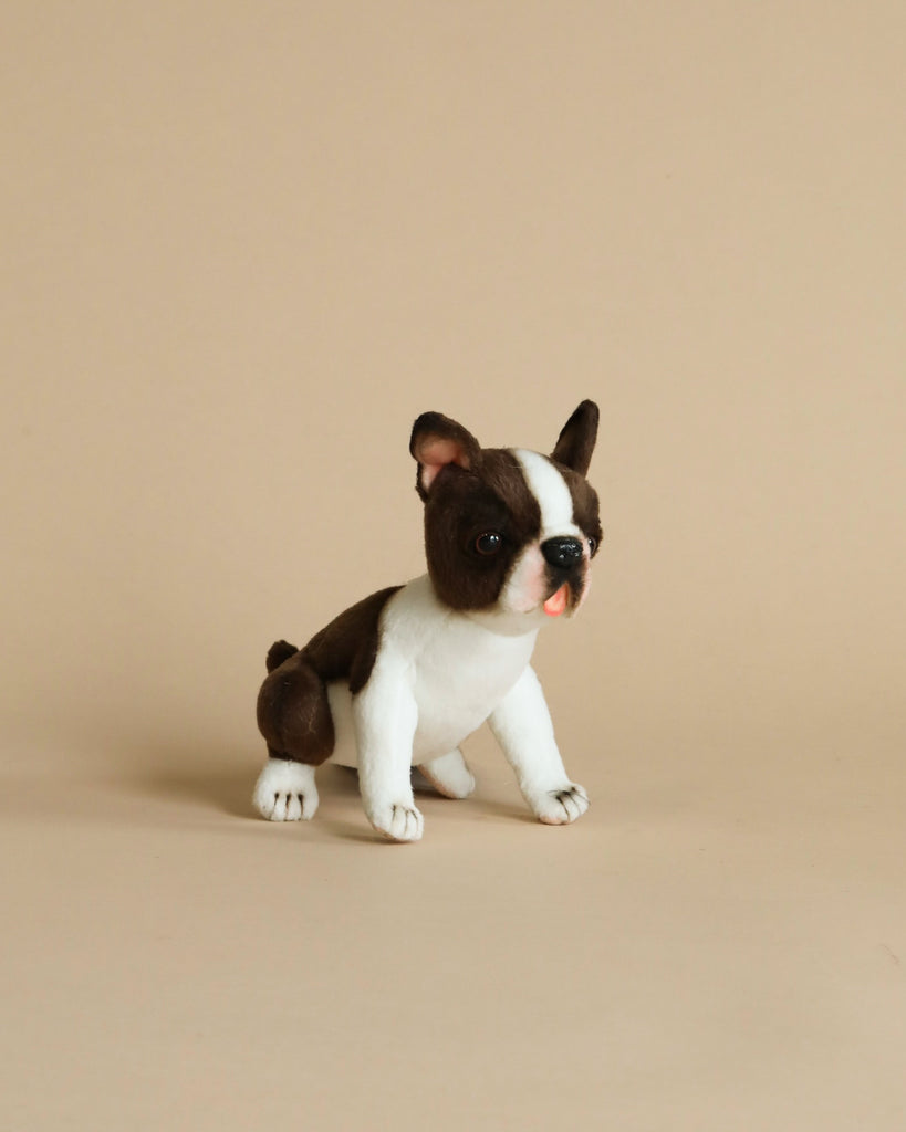 Boston terrier stuffed animal