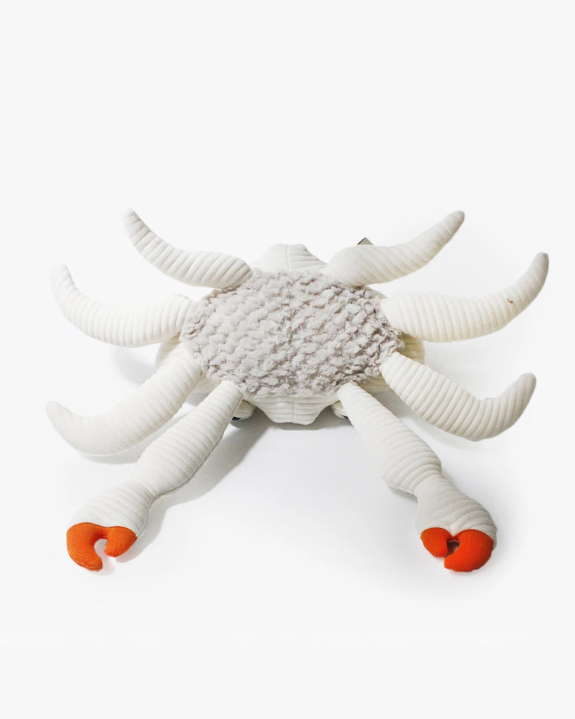 The BigStuffed Mini Crab - Sir soft toy, perfect for newborns, boasts white, ribbed legs resembling tentacles and two vibrant orange claws at the front. Its center body is textured and fluffy. This plush toy is set against a plain white background.