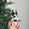 A hand is holding the adorable French Bull Dog Finger Puppet, a black and white handcrafted figurine made of 100% wool. The background showcases a blurred green Christmas tree adorned with decorations. Handmade in Nepal, this charming dog has black ears, one of which is slightly flopped.