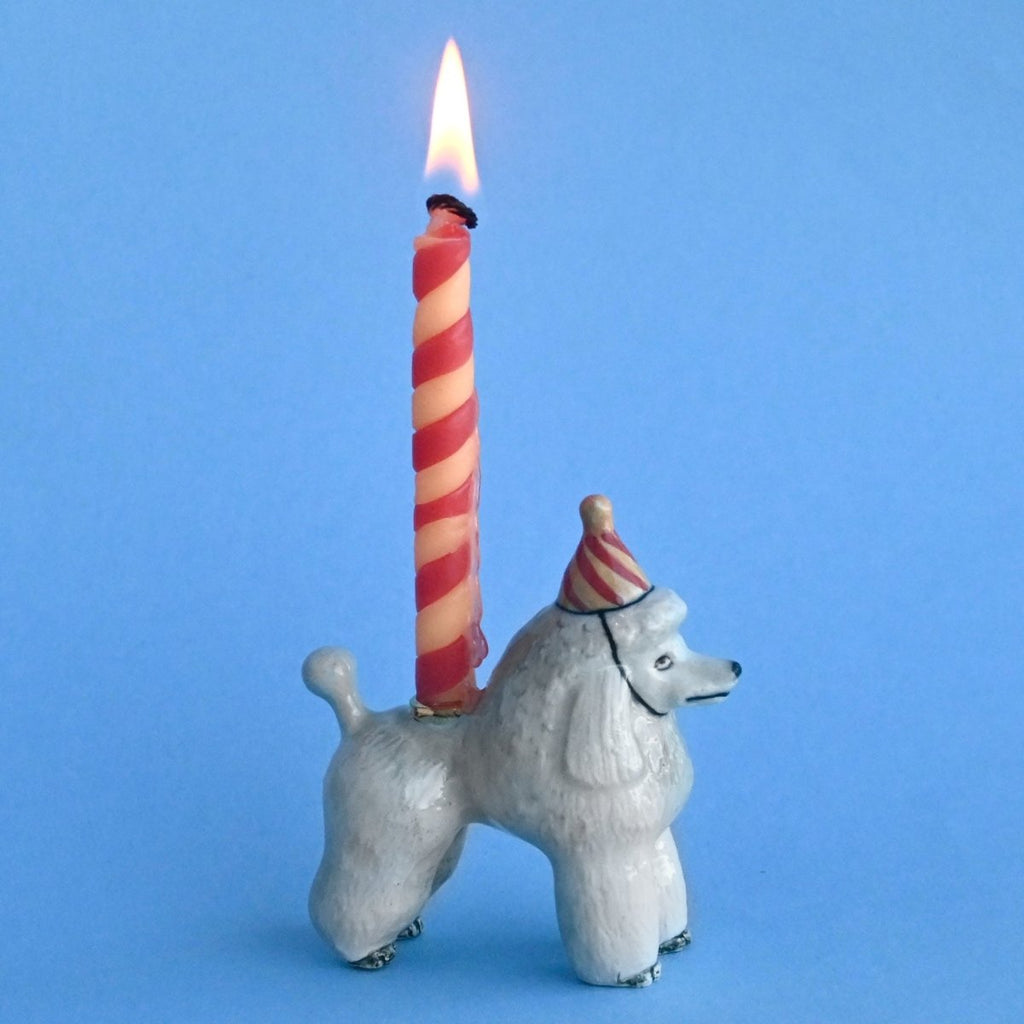 A Poodle Cake Topper shaped like a poodle, with a red and white twisted candle lit on its back against a plain blue background.