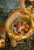 A person wearing denim overalls and boots is holding a wicker basket filled with hay, six brown eggs, a small plush chicken toy, and a Bubba Rooster Rattle. The background is a blurred outdoor setting with grass and sunlight filtering through.