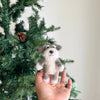 A hand holding a small, gray and white Schnauzer Dog Finger Puppet in front of a Christmas tree decorated with pine cones.