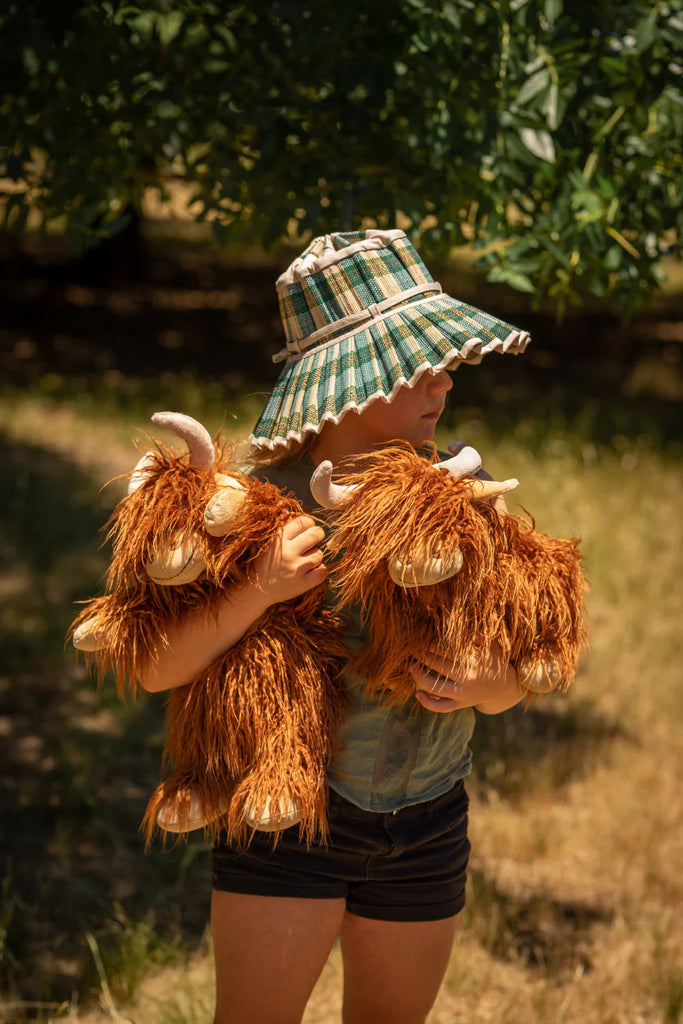 A young child in a green plaid hat with a wide brim stands outside under a tree, holding two "The Orangutans Stuffed Animals." The background is grassy and sunlit, with shadows from the tree providing shade, reminiscent of a rainforest scene teeming with wild orangutans.