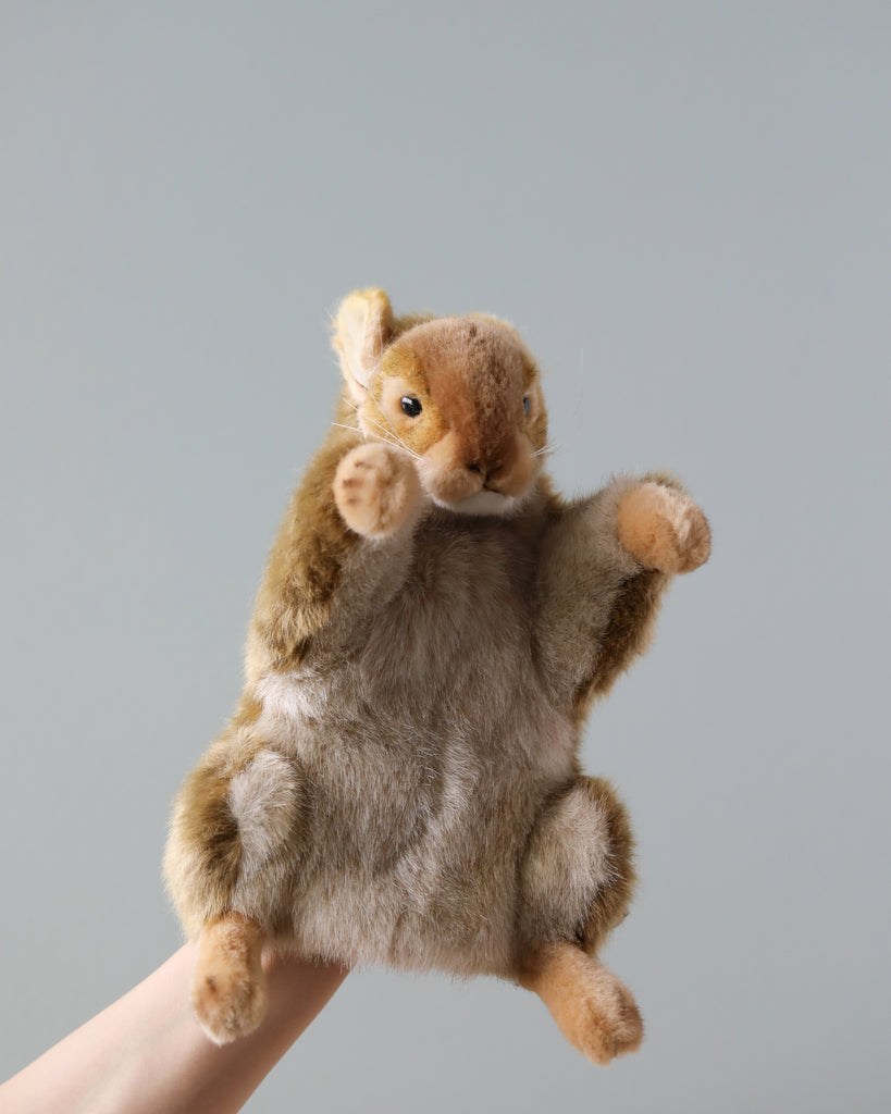 A Squirrel Puppet held up against a plain gray background, with its arms raised and eyes looking forward.