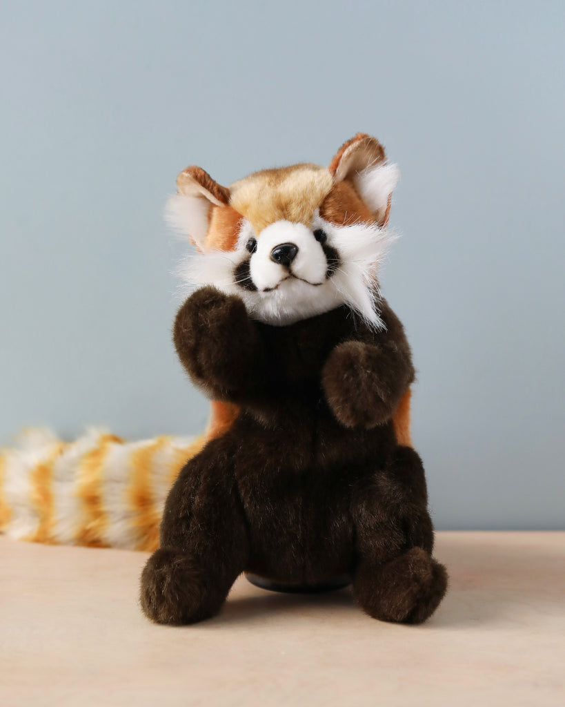 A realistic Red Panda Puppet sitting upright on a wooden surface against a plain blue-gray background. The puppet has detailed features and a striped tail.