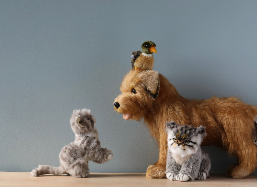 Three Pallas Kitten Stuffed Animals, including a grey kitten, a terrier dog, and a small duck sitting on the dog's head, are arranged on a wooden surface against a pale blue background.