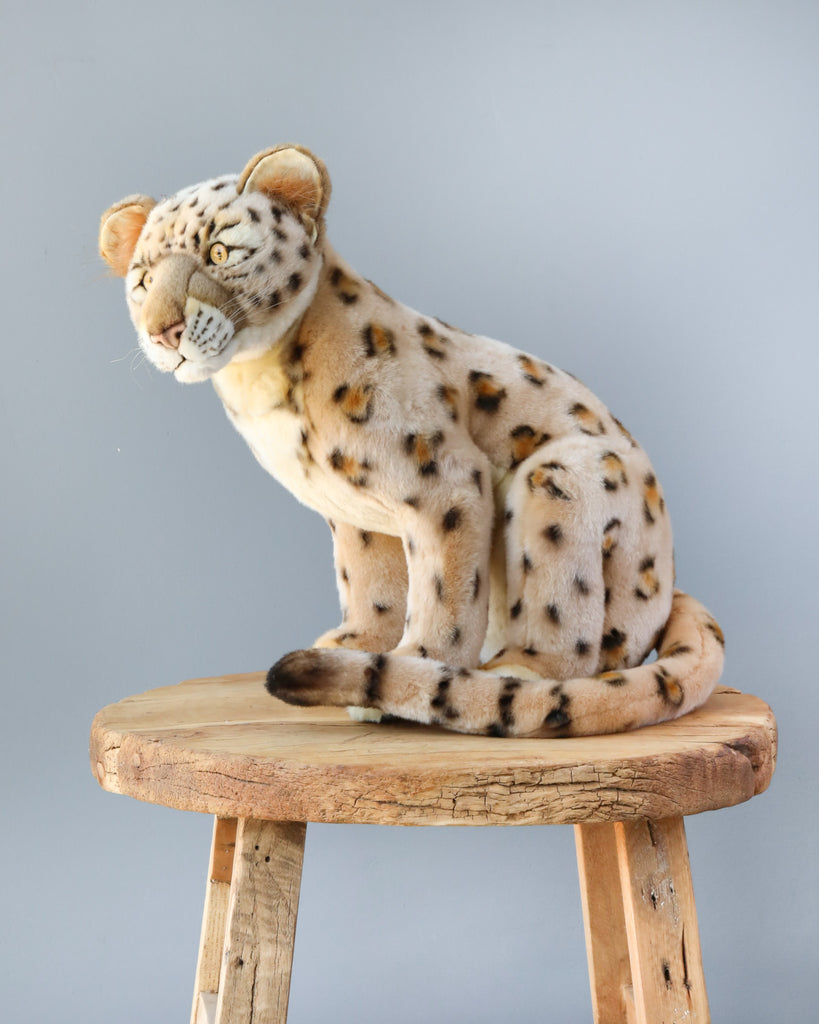 A Leopard Cub Stuffed Animal, with meticulously hand-sewn features and a detailed pattern of brown, black, and white fur, sits on a rustic wooden stool against a plain gray background, showcasing its unique personality.