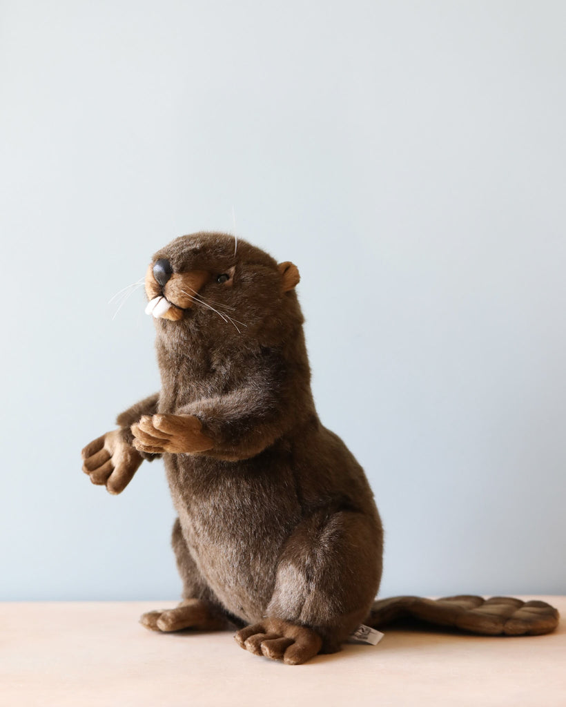 beaver stuffed animal