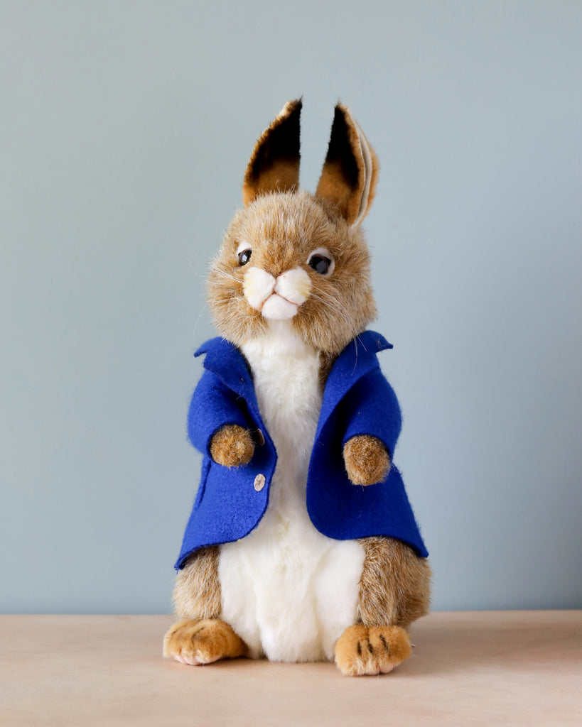 bunny in blue jacket stuffed animal