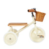 kids tricycle with basket