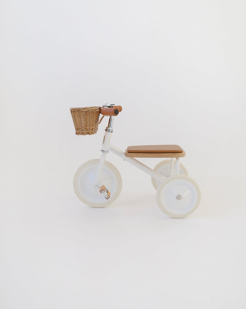 kids tricycle with basket