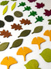 A variety of colorful, wooden leaves are scattered on a white surface. These Woodland Leaves come in different shapes and are painted in shades of green, brown, yellow, orange, and purple, resembling different species and seasons—perfect for loose parts play.